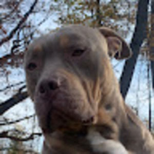 Meet your Posher, Diego